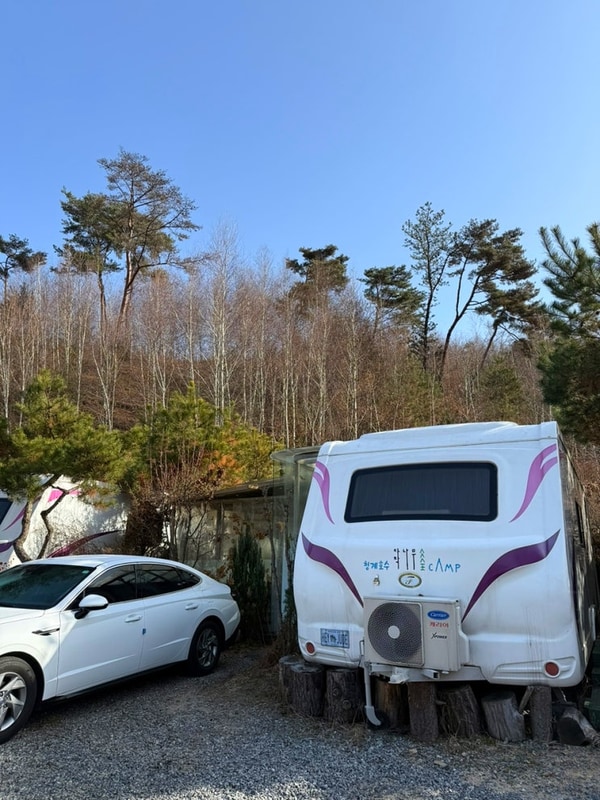 포천캠핑장 추천 청계호수 자작나무 숲 캠핑장 스파카라반 후기