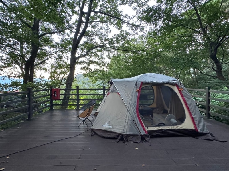 부산 경남 근교 캠핑장, 김해 신어산자연숲캠핑장(들4번 사이트)