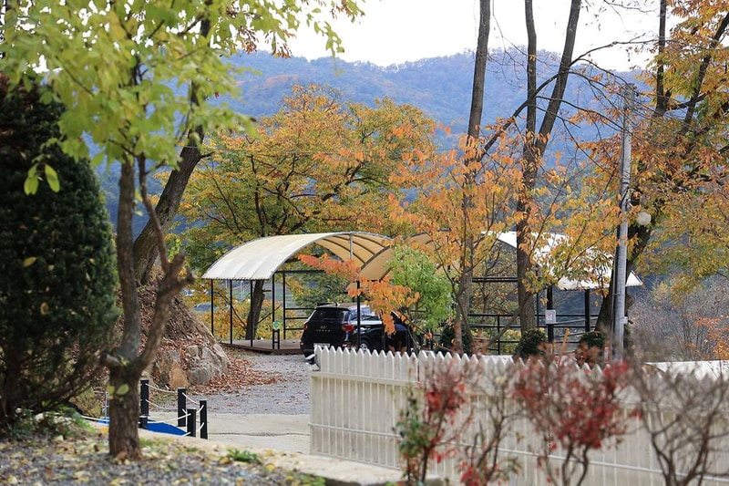 금동휴양림캠프1 시설 사진 16