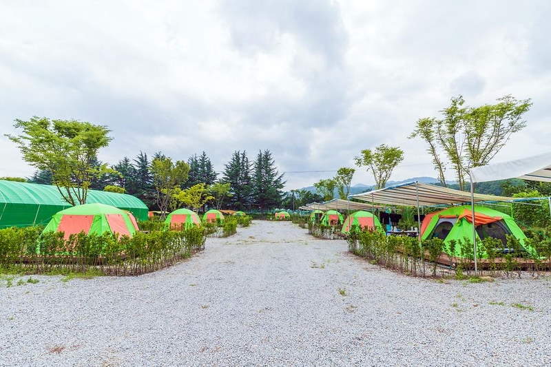 상주 감꽃마을 서울캠핑장 시설 사진 5