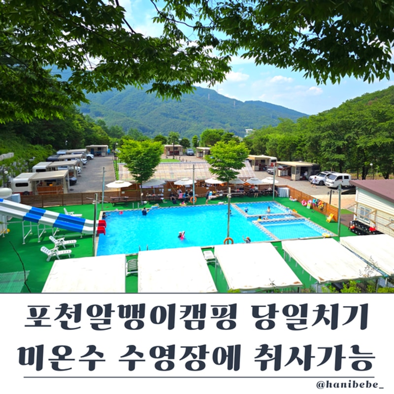 포천알맹이캠핑 나무존 카라반 후기 서울근교 수영장 글램핑...