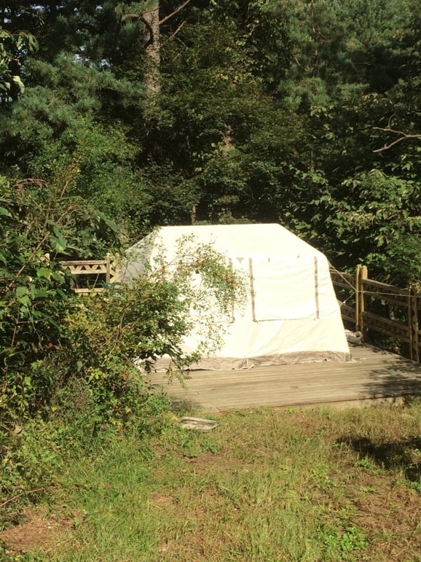 [포천] 엉클킴스캠핑장 포레스트 b4 사이트 추천⛺️