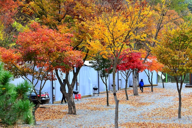 소풍캠핑장 시설 사진 27