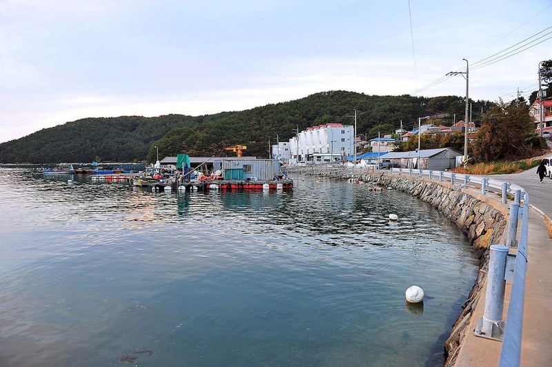 푸른바다와 캠핑 시설 사진 13