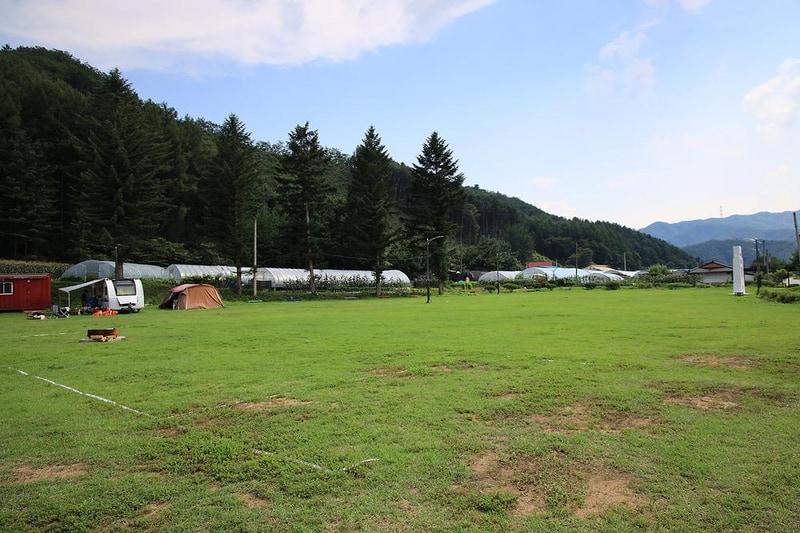 횡성 노다지야영장 불타는 삼촌 시설 사진 7