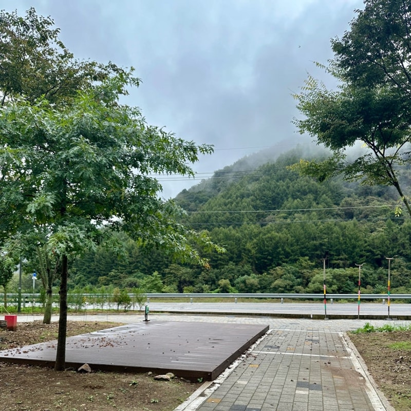 평창 캠핑장ㅣ추석 연휴에 다녀온 깨끗한 [평창국민여가캠핑장]