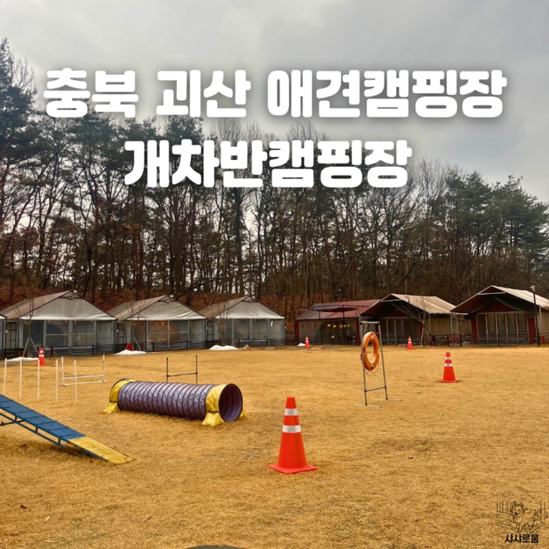 충북 괴산 애견전용 개차반캠핑장 대형견 가능 개별 울타리...