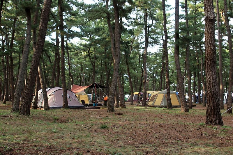 연곡해변 솔향기캠핑장 시설 사진 27