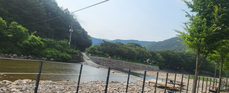 반려견동반 가족 캠핑 : 청도 "조은자리캠핑장"