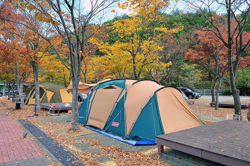 당항포관광지 오토캠핑장 시설 사진 4