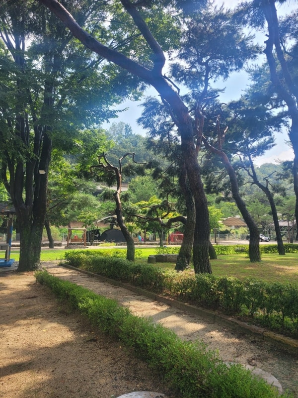 짝꿍의 시간이 온다와.. with.포천 리버빌캠핑장 1박2일