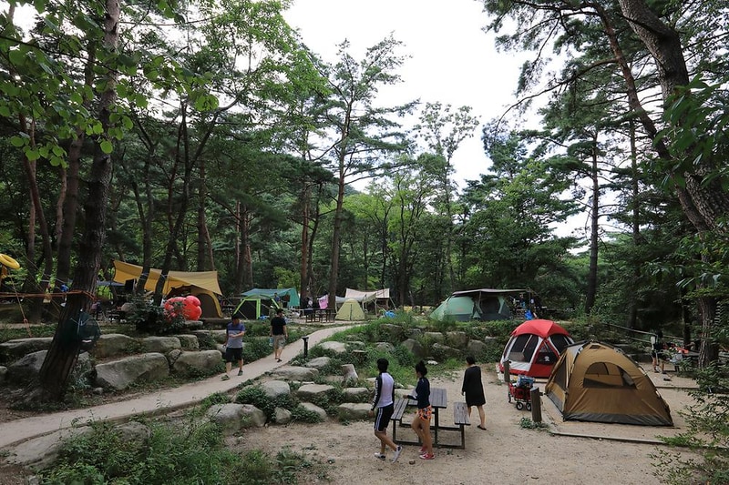 월악산국립공원 닷돈재자동차야영장 시설 사진 14