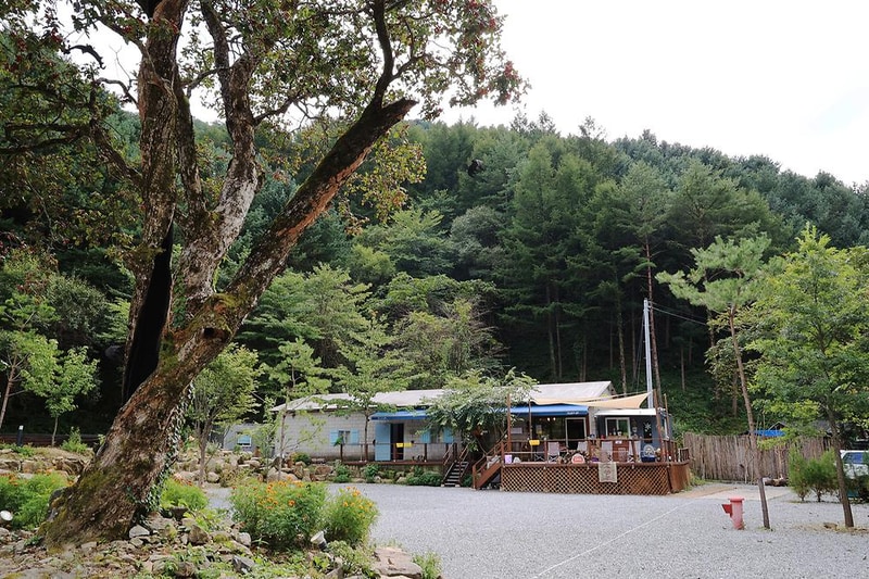 그린필로우 시설 사진 7