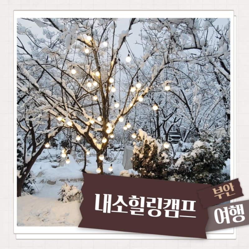 전북장박캠핑장 내소힐링캠프 애견동반 부안캠핑장 겨울캠핑...