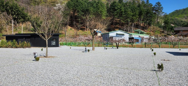 도전캠핑장 시설 사진 15