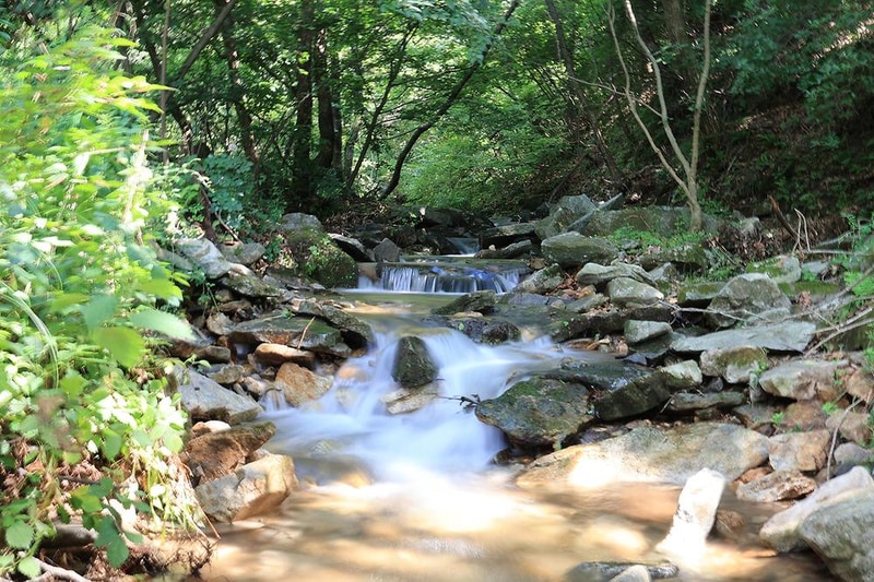 강화 버팔로 캠팜 시설 사진 2
