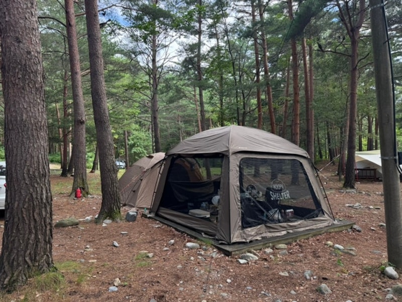 [강원도/강릉] 자연 안에서... 캠핑장 : 노추산 힐링캠프 B14...