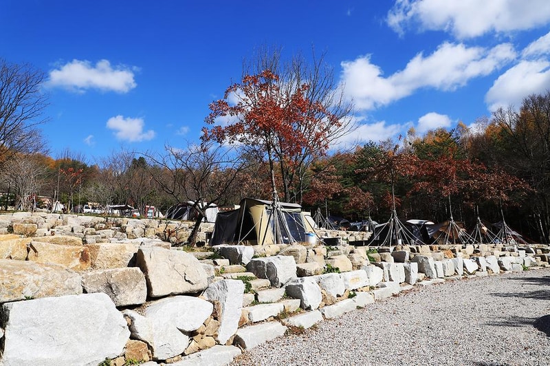 삼남매와 뭉치네 캠핑장 시설 사진 2