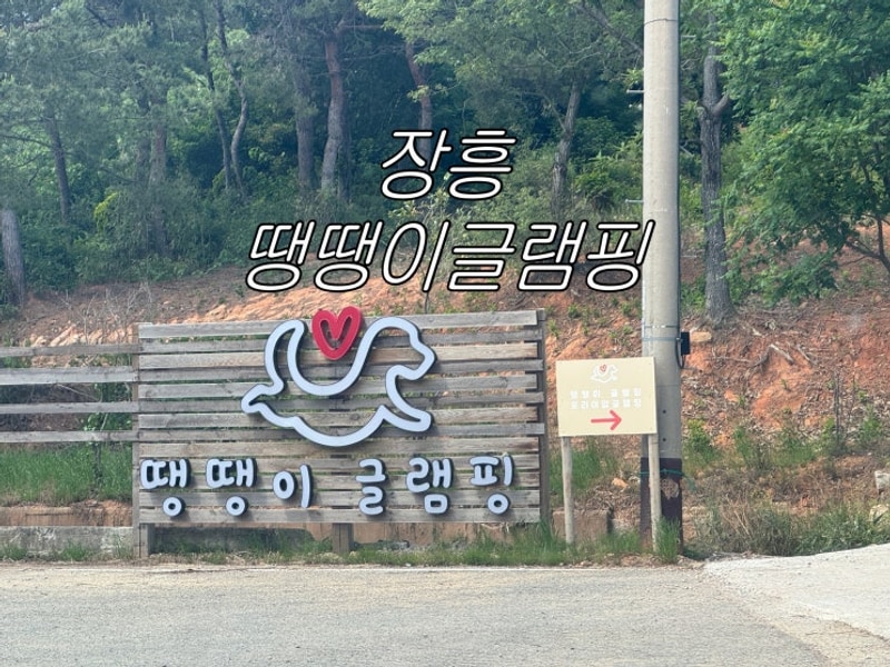 전남 애견 글램핑 대형견동반글램핑 장흥땡땡이글램핑...