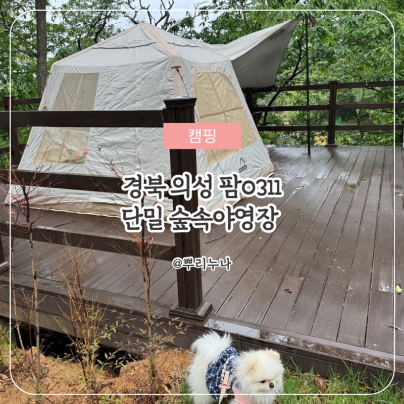 의성 애견동반 캠핑 | 팜0311 숲속야영장 가족존 8번