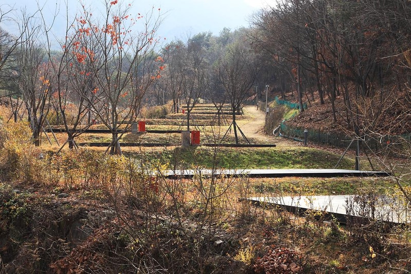 국토정중앙천문대야영장 시설 사진 14