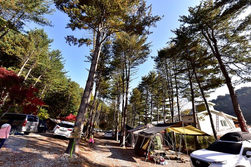 캠프수풀이 시설 사진 2