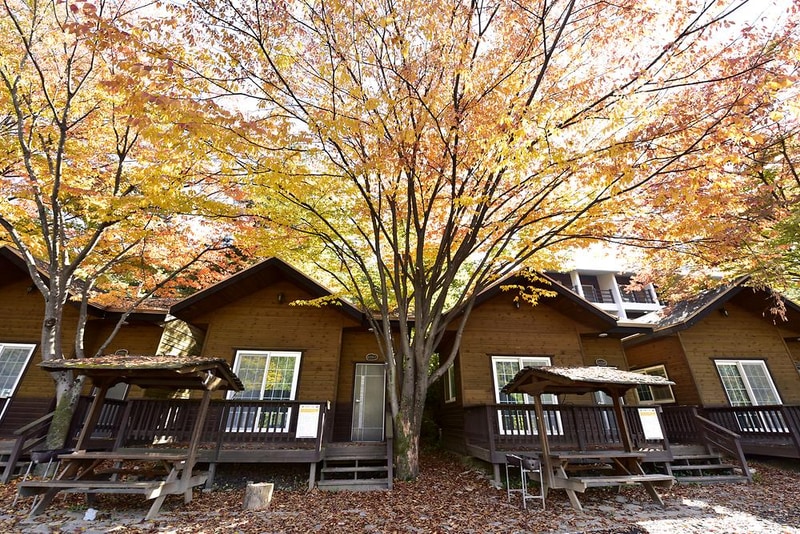 산장관광지 시설 사진 6