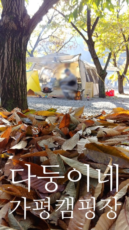 가평 캠핑장 추천 - 가을이면 생각나는 곳  [가평 다둥이네 캠핑장]