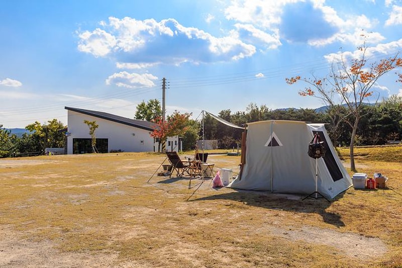 비손관광농원 야영장 대표 사진