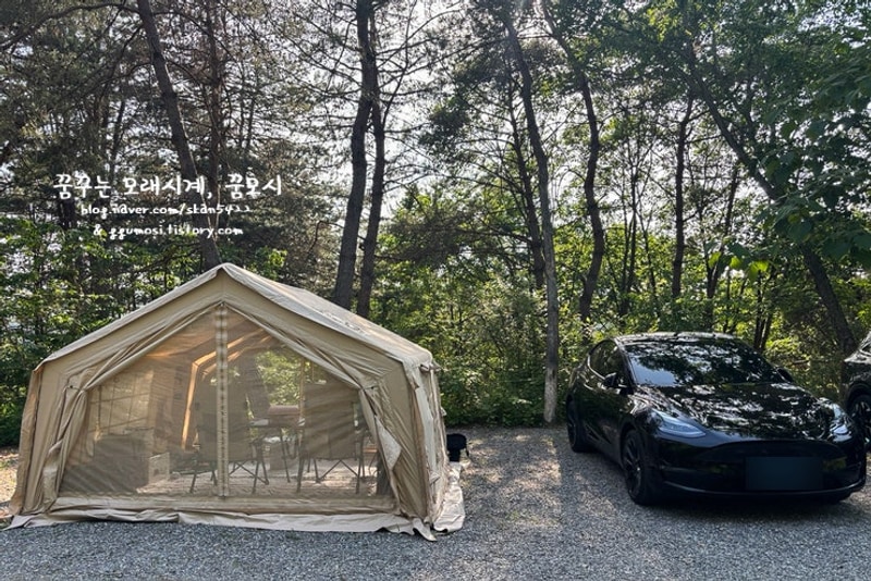 캠핑/Camping) 비발디캠핑파크 노일점 비발디 8번 사이트...