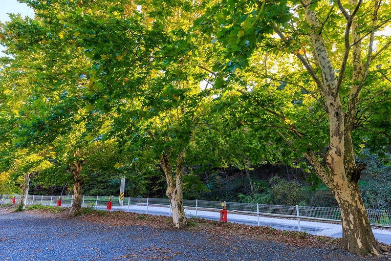 캠프아이엔지 시설 사진 6