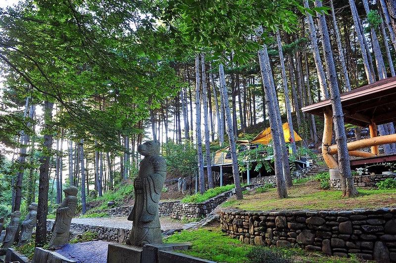 수목원프로방스 캠핑장 시설 사진 9