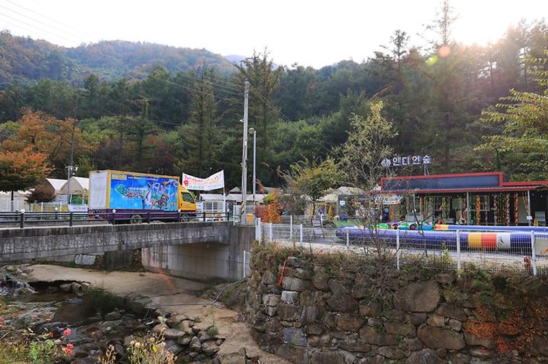 인디언숲 캠프닉 대표 사진