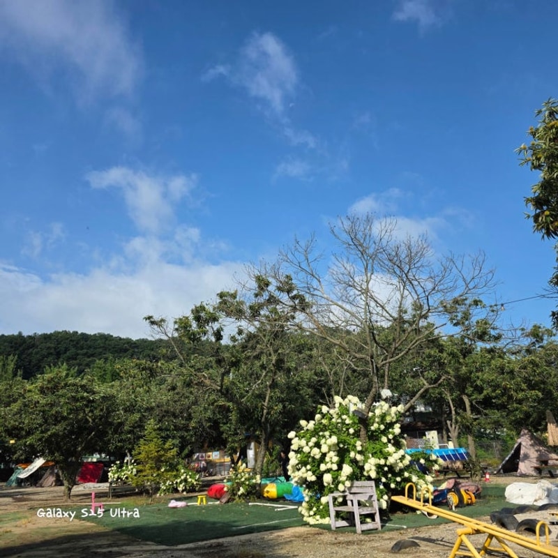 가평펜션 제령포레스트캠프에서 아이들과 좋은추억 만들어보세요