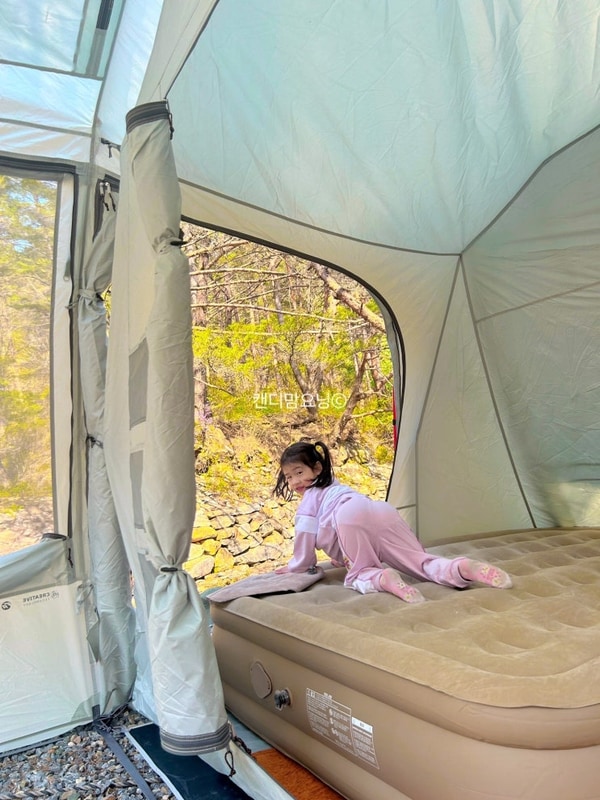 영월캠핑장 추천 지금 가야하는 소나무와 계곡캠핑장 후기