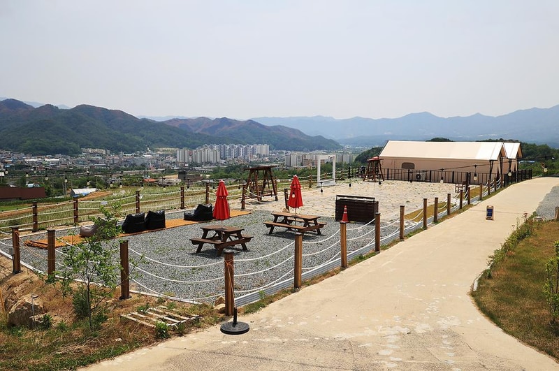 르쏠레이475카페 야영장 시설 사진 10