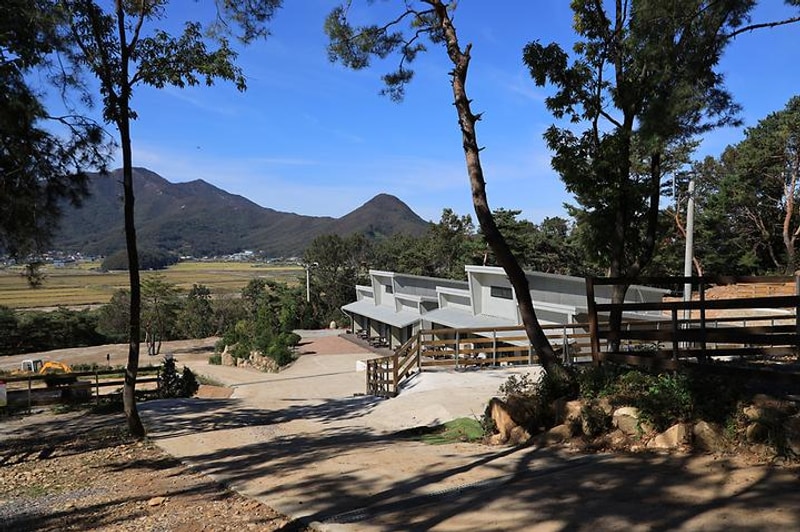 강화도 아침 숲속야영장 대표 사진