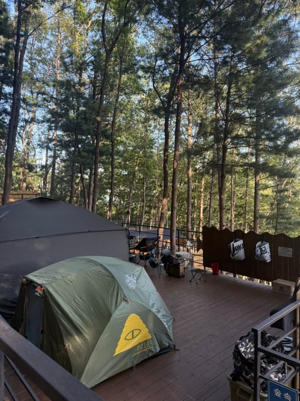 4명 가능한 숲 속 캠핑장, 가평 블루문 캠핑장 (숲 속 7번 후기)