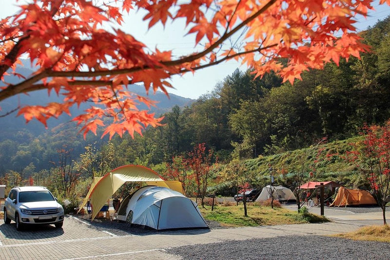 (주)하이원추추파크 시설 사진 6