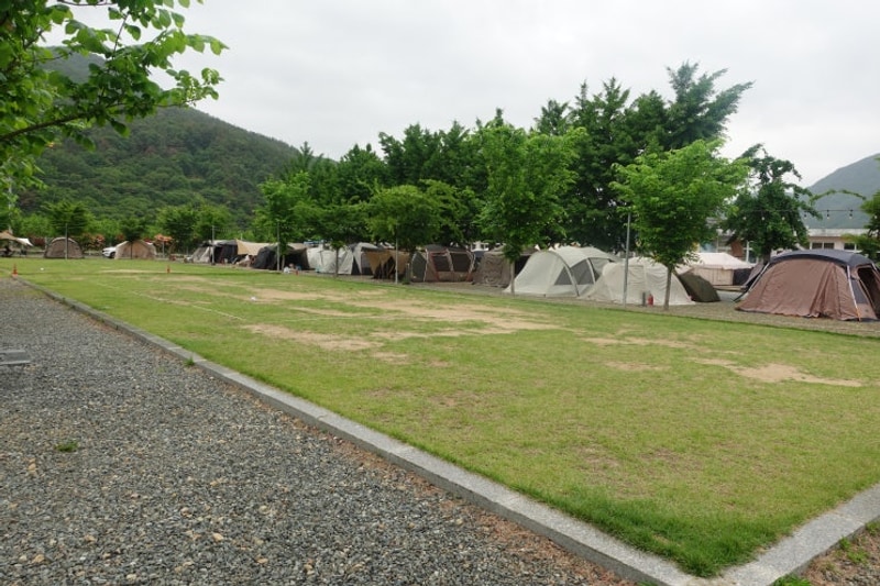 밀양 도깨비방망이 캠핑장 부산 근교 실내 놀이방 전화예약...