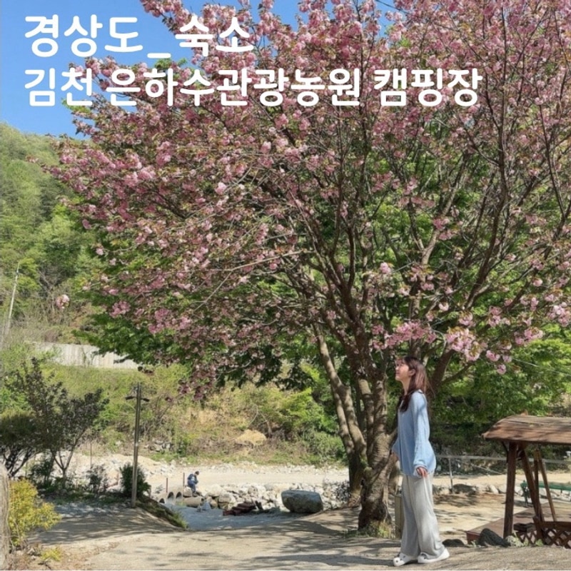 경북 단체 펜션 숙소 캠핑장 추천 김천 은하수관광농원캠핑장...