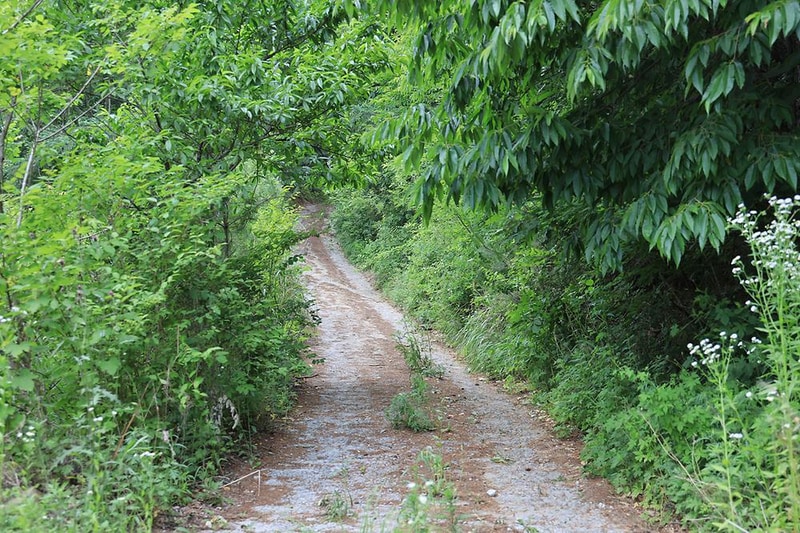 웰컴투캠프 시설 사진 19