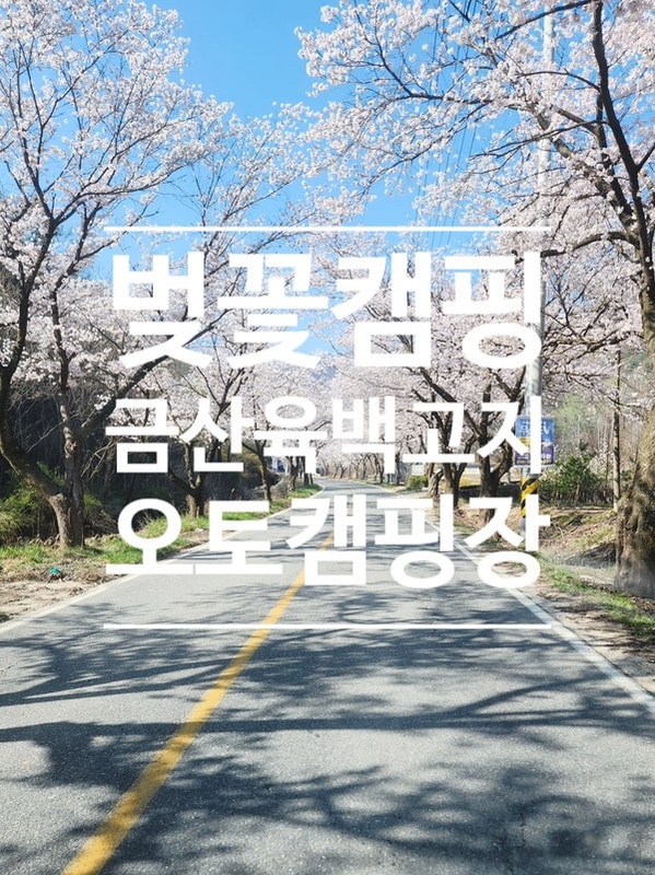 [금산캠핑장 후기] 자연과 맞닿은 금산육백고지 오토캠핑장...