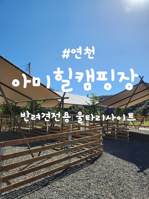 [연천 캠핑장] 반려견동반캠핑장 울타리 사이트 연천아미힐캠핑장