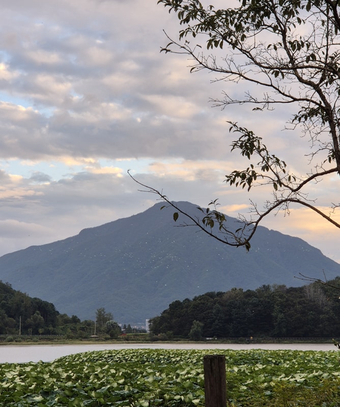 [캠핑일기 35] 새들이 반겨주는 철원 학마을캠프(2)