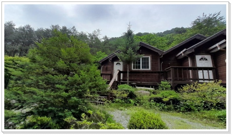 정선 계곡 펜션 "정선 도원펜션&캠핑장", 자연 속 힐링 가득한 곳!