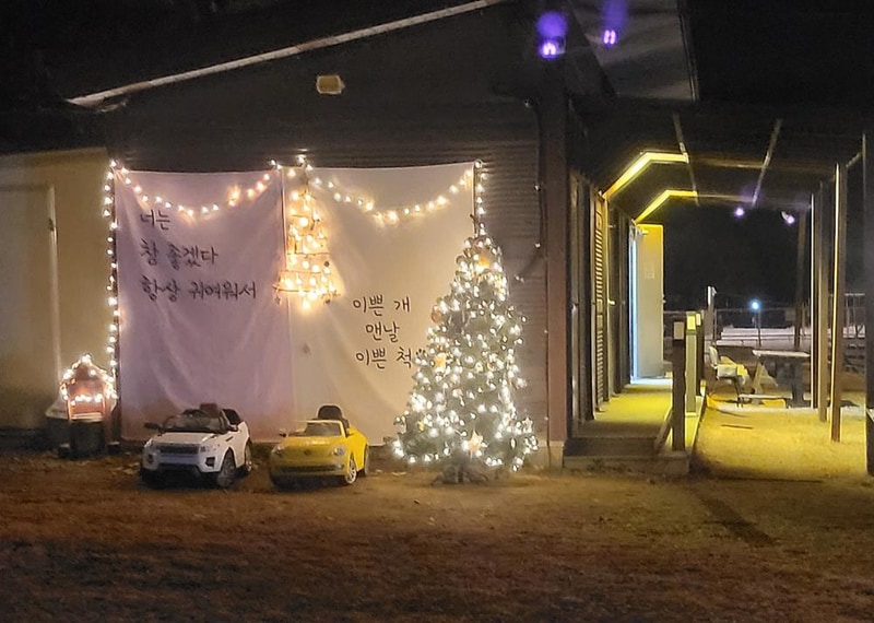 루파니애견캠핑장 시설 사진 26