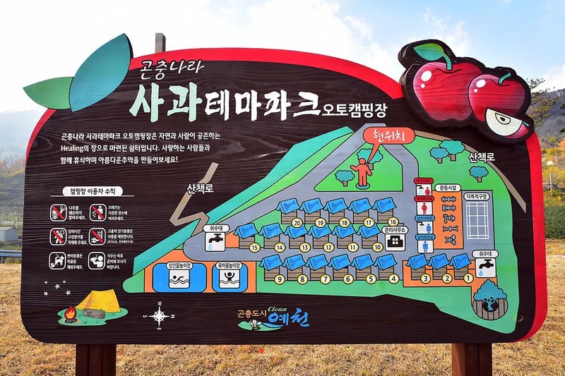 예천군 곤충나라 사과테마파크 오토캠핑장 배치도 1