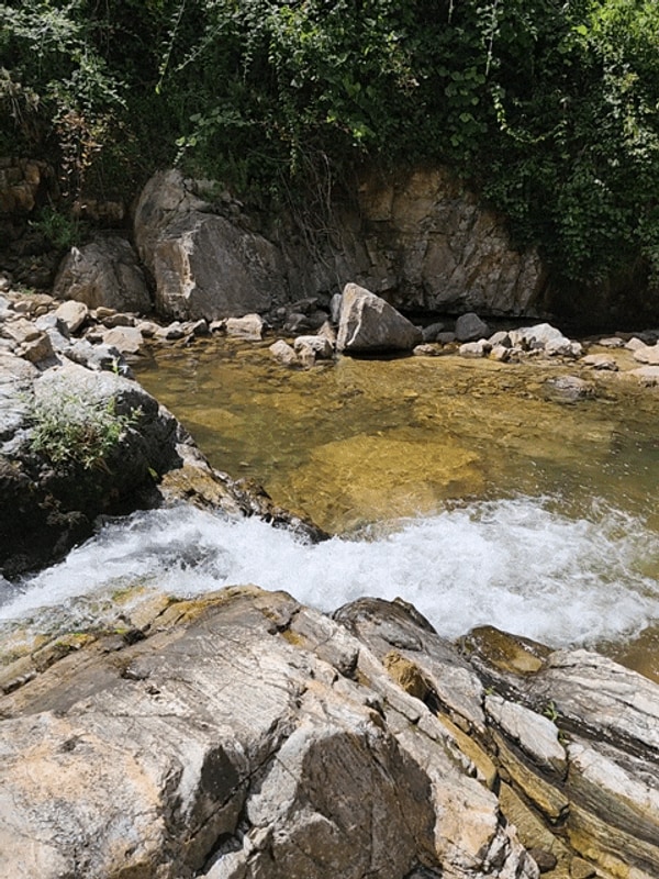 영동 물한계곡 맑은누리캠핑장 정자3번  당일대여 후기