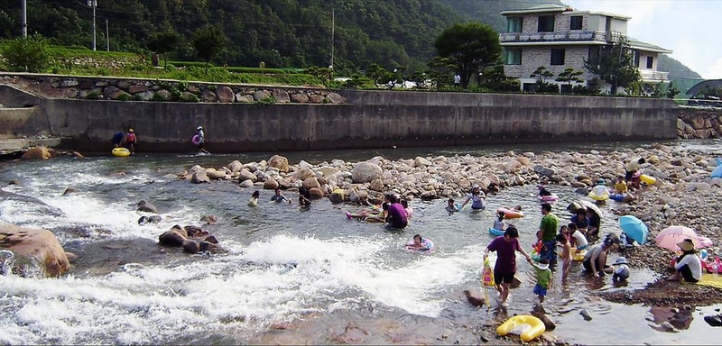 소나무 풍경 펜션 야영장 시설 사진 19